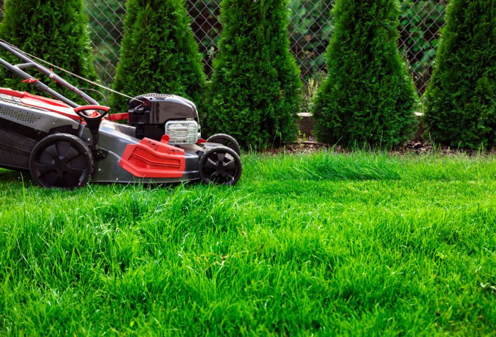 All Seasons L﻿a﻿w﻿n C﻿a﻿r﻿e & Mowing of Euless (12)